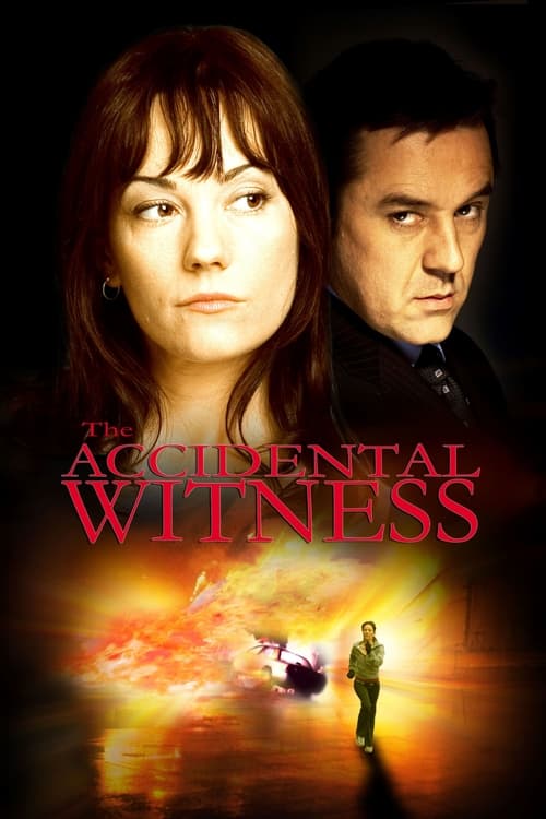 Poster for The Accidental Witness