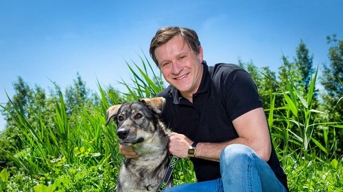 Animal Shelter scene 3