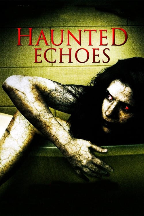 Poster for Haunted Echoes
