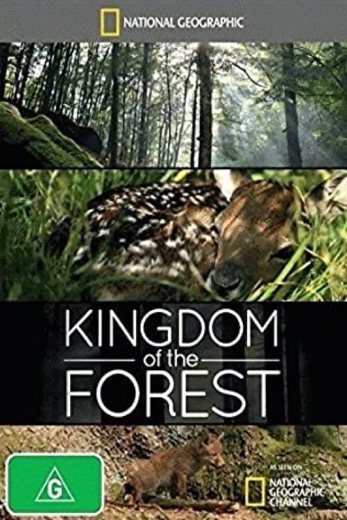 Poster for Kingdom of the Forest