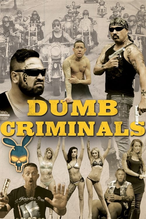 Poster for Dumb Criminals: The Movie