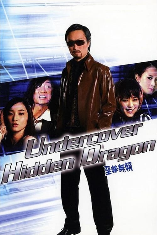 Poster for Undercover Hidden Dragon