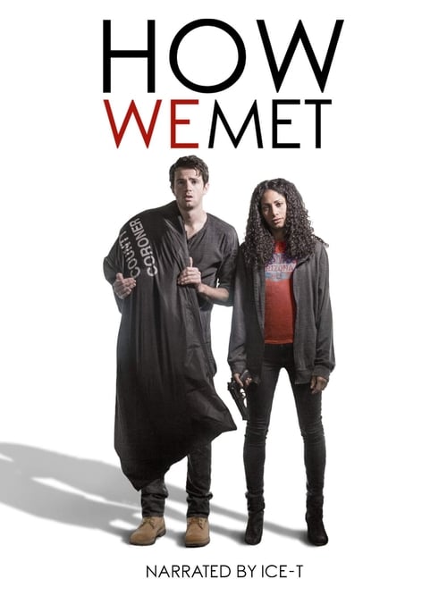 Poster for How We Met