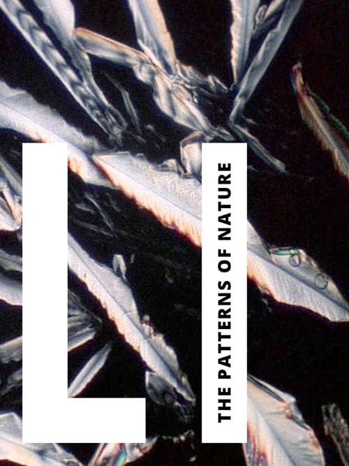Poster for Li: The Patterns of Nature
