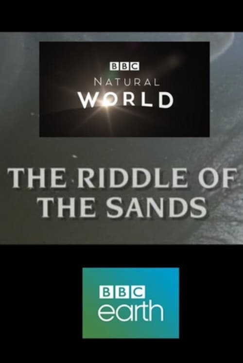 Poster for The Riddle of the Sands