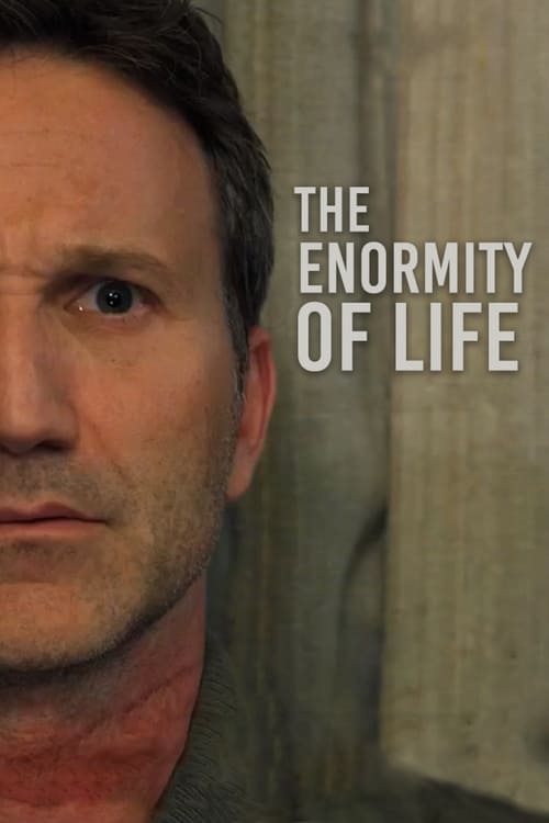 Poster for The Enormity of Life