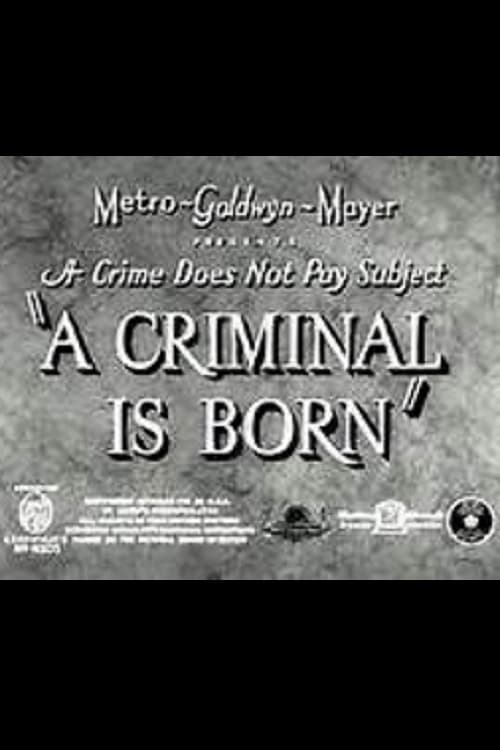 Poster for A Criminal Is Born