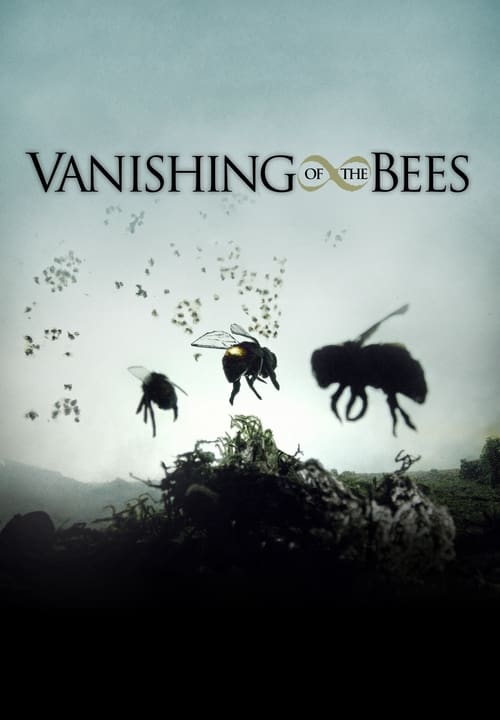 Poster for Vanishing of the Bees