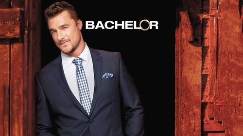 The Bachelor scene 3