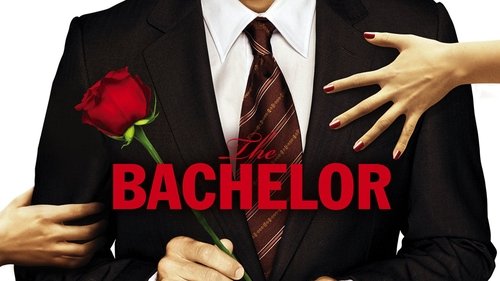 The Bachelor scene 2