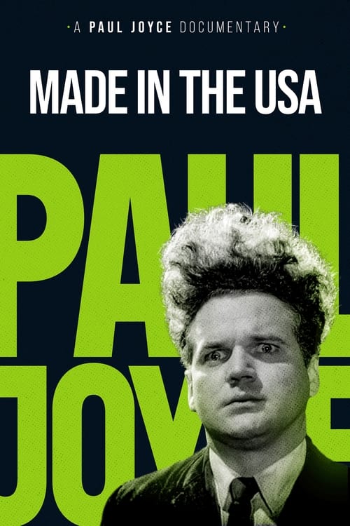 Poster for Made in the USA