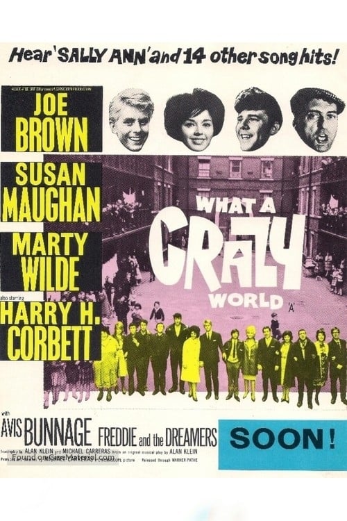Poster for What a Crazy World
