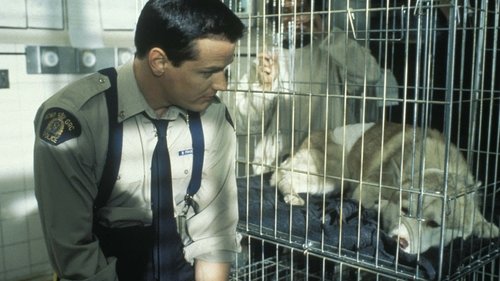 Due South scene 4