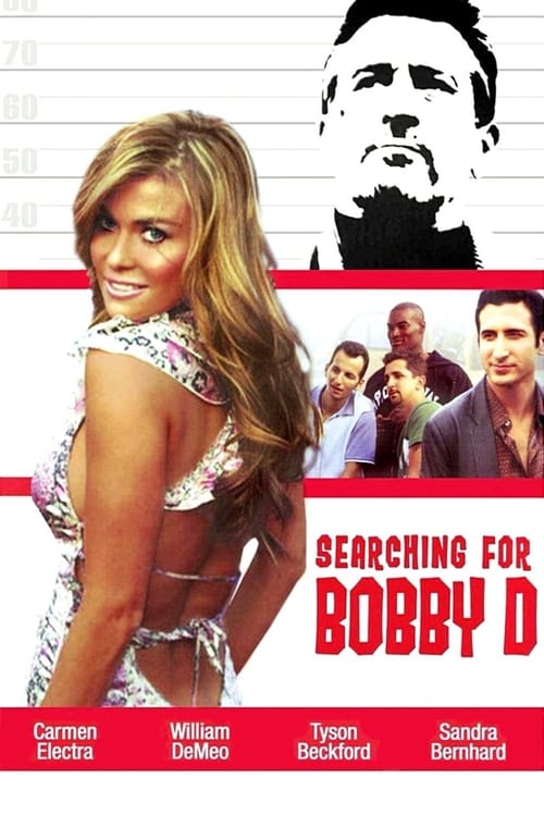 Poster for Searching for Bobby D