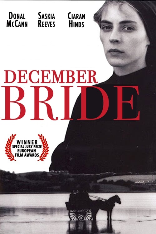 Poster for December Bride