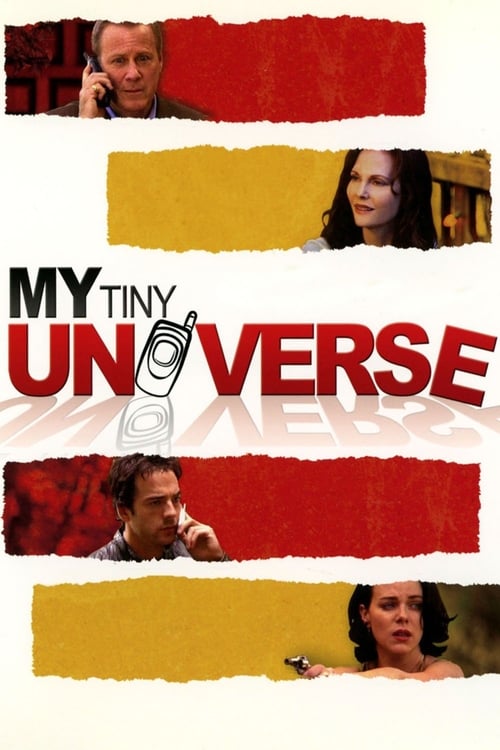 Poster for My Tiny Universe