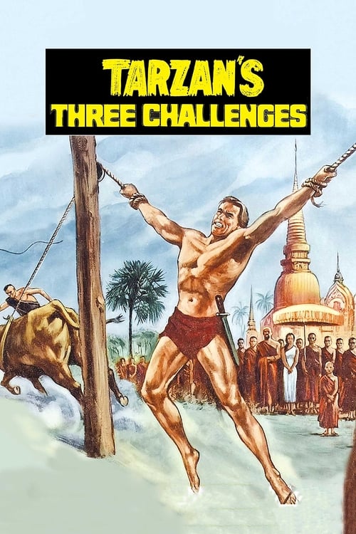Poster for Tarzan's Three Challenges
