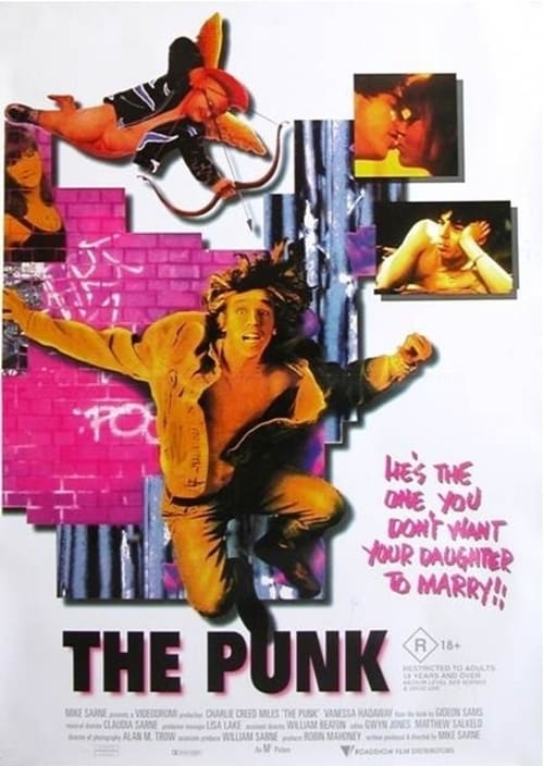 Poster for The Punk