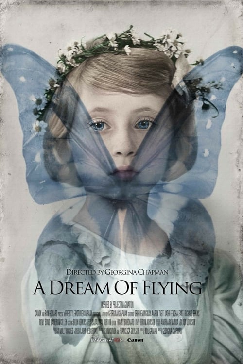 Poster for A Dream of Flying