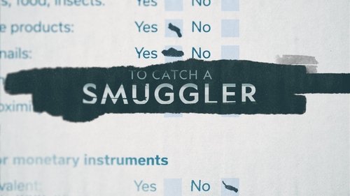 To Catch a Smuggler scene 7