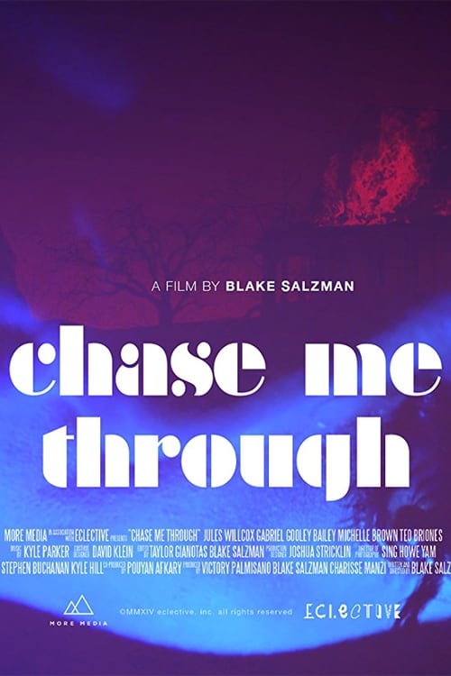 Poster for Chase Me Through