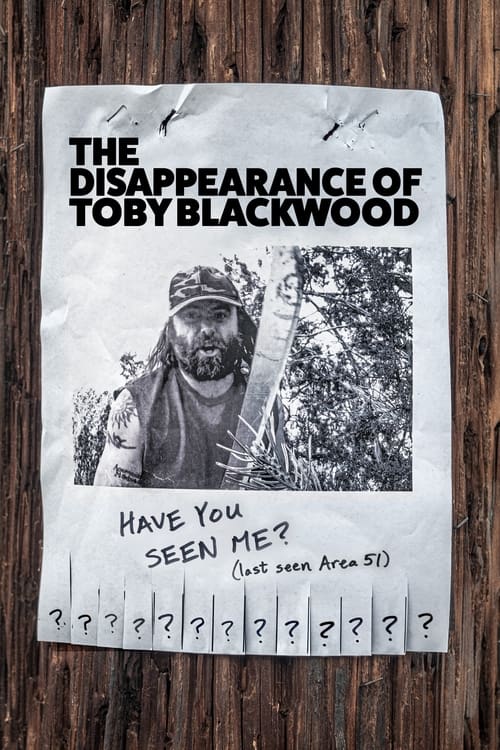 Poster for The Disappearance of Toby Blackwood