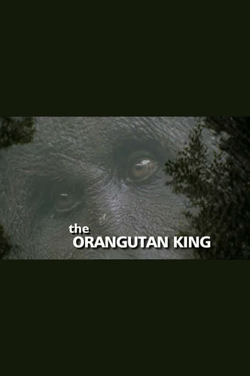 Poster for The Orangutan King