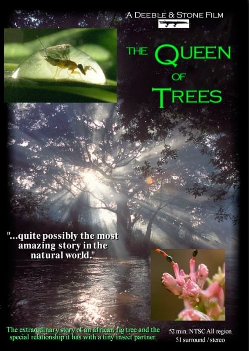 Poster for The Queen of Trees