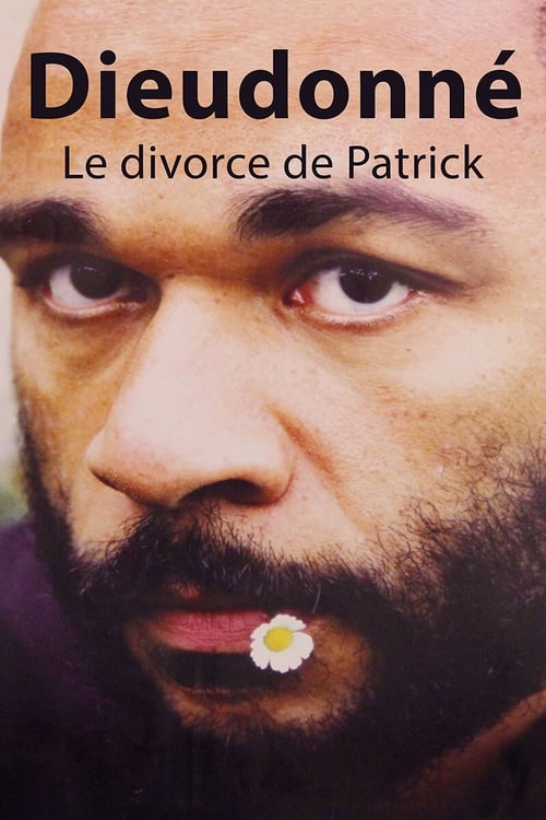 Poster for Le divorce de Patrick