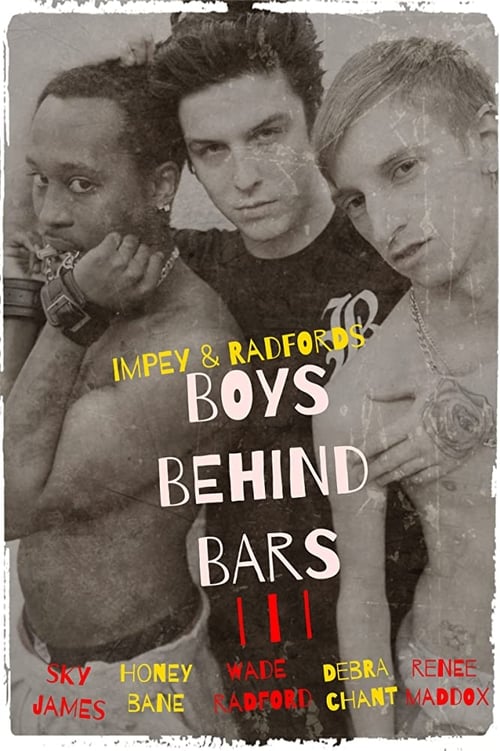 Poster for Boys Behind Bars 3