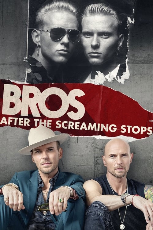 Poster for After the Screaming Stops
