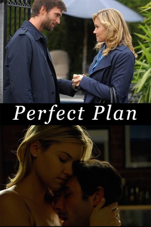 Poster for Perfect Plan