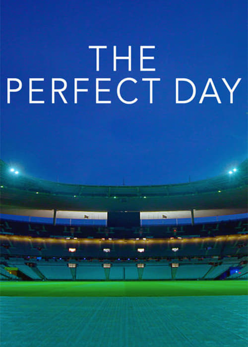 Poster for The Perfect Day