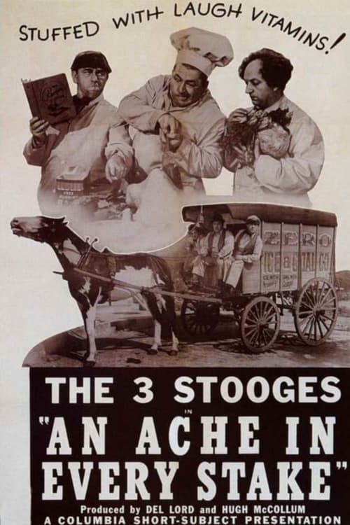 Poster for An Ache in Every Stake