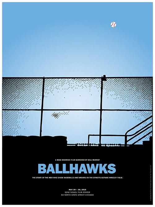 Poster for Ballhawks