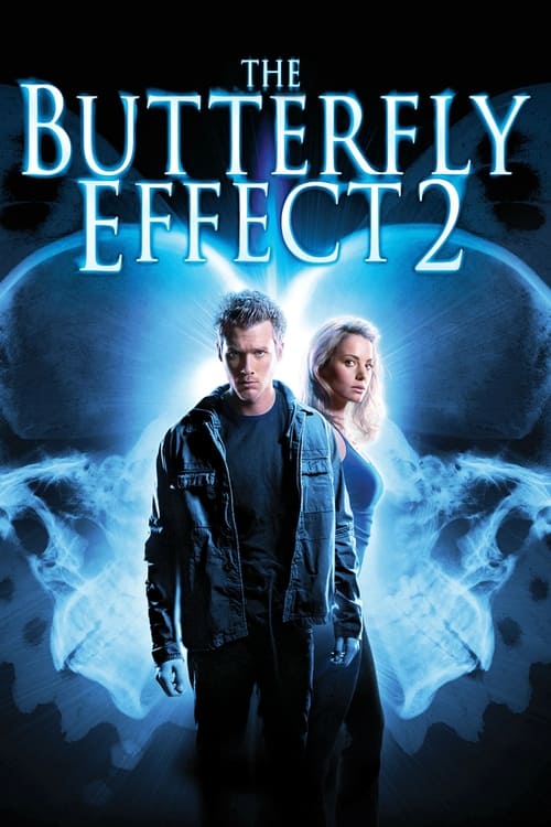 Poster for The Butterfly Effect 2