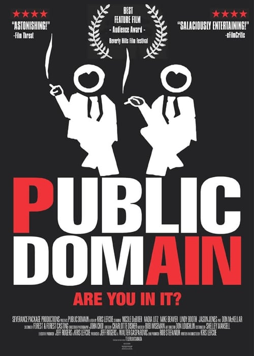 Poster for Public Domain