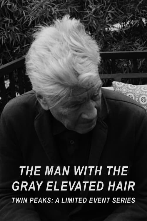 Poster for The Man with the Gray Elevated Hair
