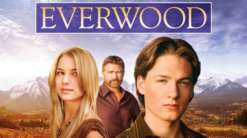 Everwood scene 2