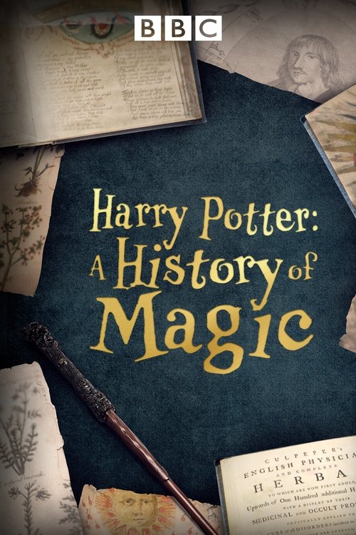 Poster for Harry Potter: A History Of Magic