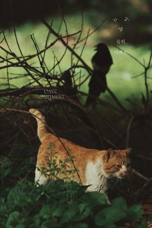 Cats' Apartment
