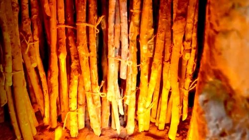 A Culture Built with Wood scene 1