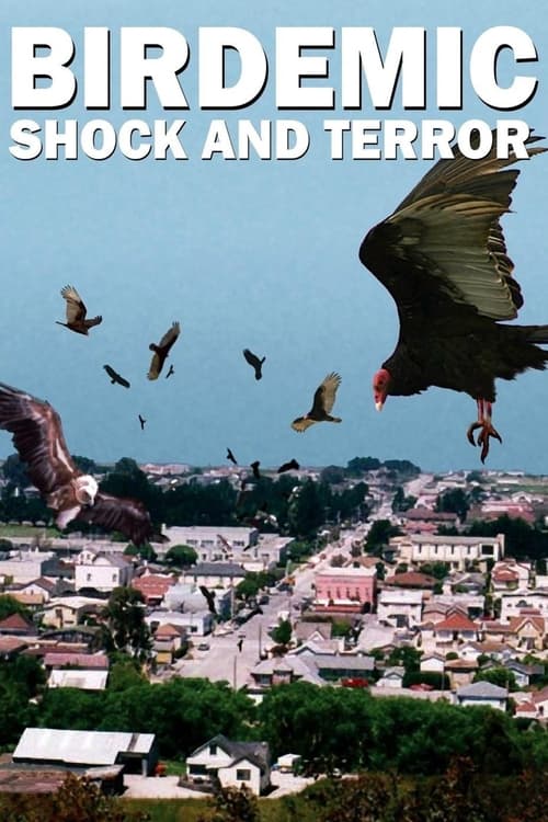 Poster for Birdemic: Shock and Terror