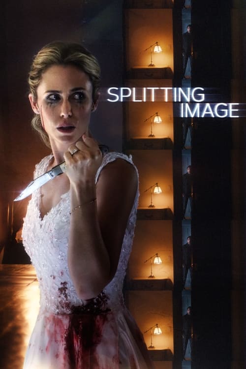 Poster for Splitting Image