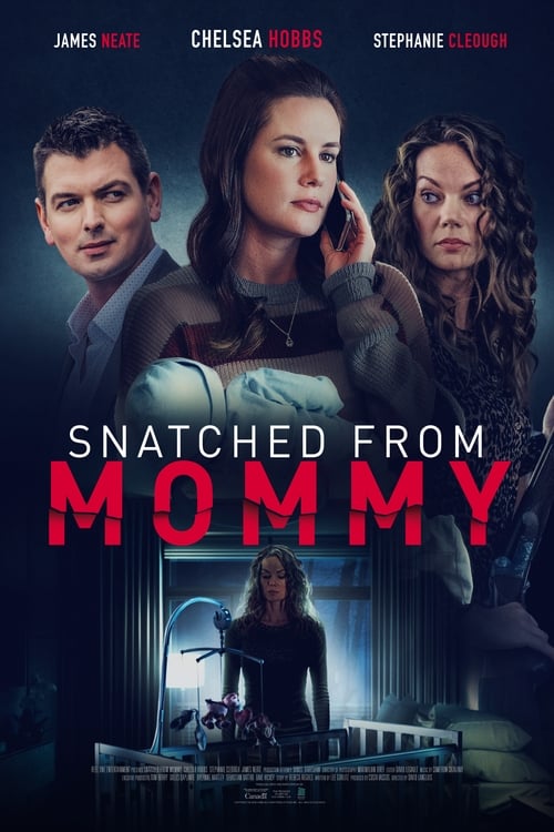 Poster for Snatched from Mommy