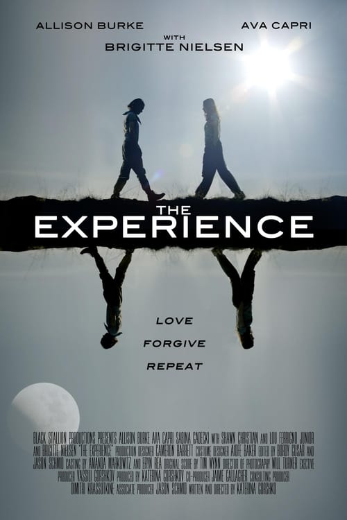 Poster for The Experience