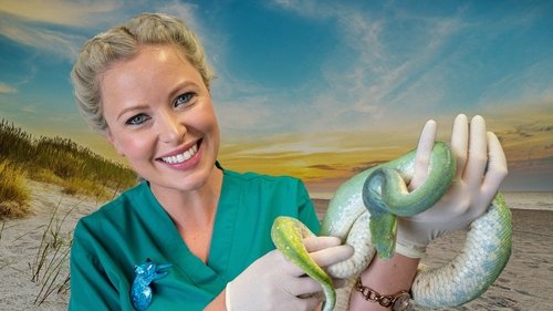 Bondi Vet: Coast to Coast scene 2