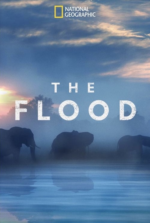 Poster for The Flood