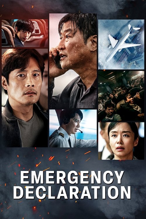 Poster for Emergency Declaration