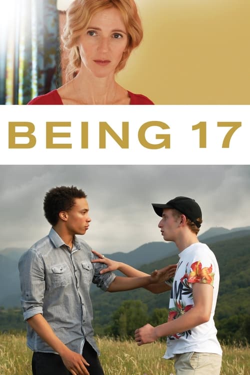 Poster for Being 17